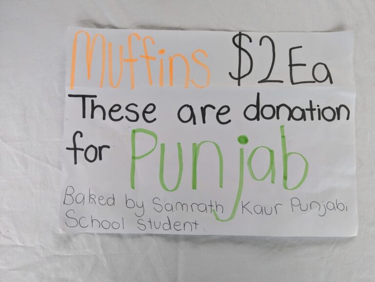 Khalsa School – photo 31